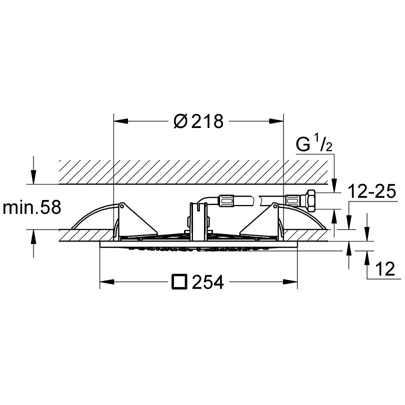 Palarie dus fix Grohe Rainshower F-Series, cu montaj pe tavan 25x25 cm