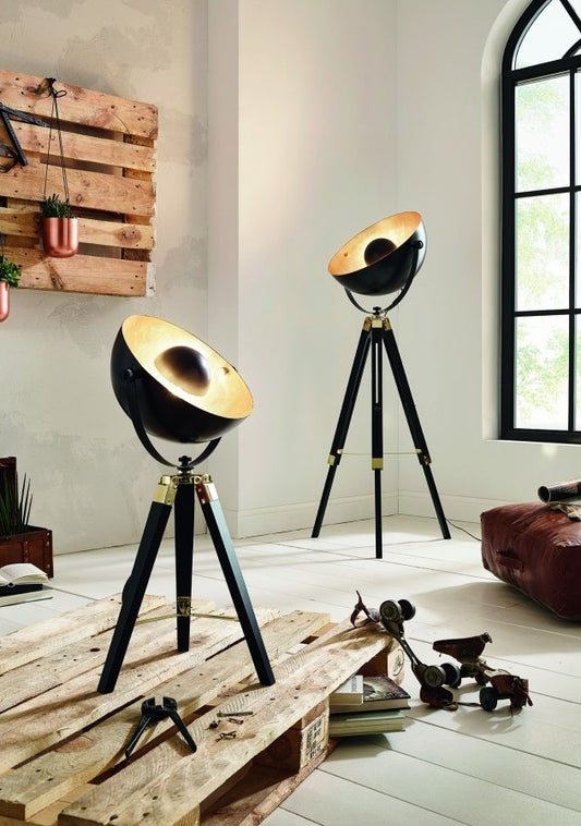 Eglo Covaleda Lampadar 1x60W, negru/auriu
