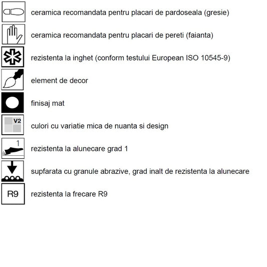 Decor exterior / interior multicolor 20x20 cm, Marazzi D_Segni Colore Tappeto 5