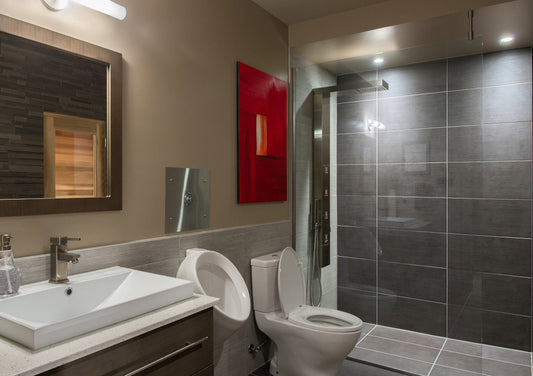 Ghid de cumparare – Pisoare