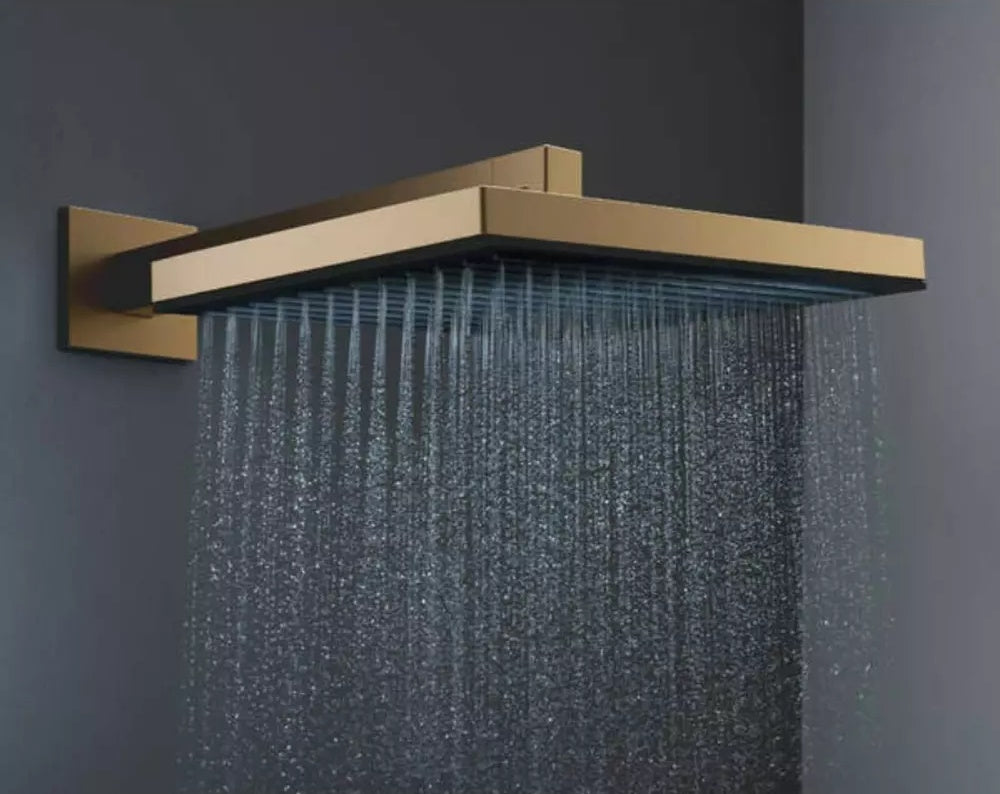 Palarie dus fix Hansgrohe Pulsify E 260, cu 1 functie, bronz periat