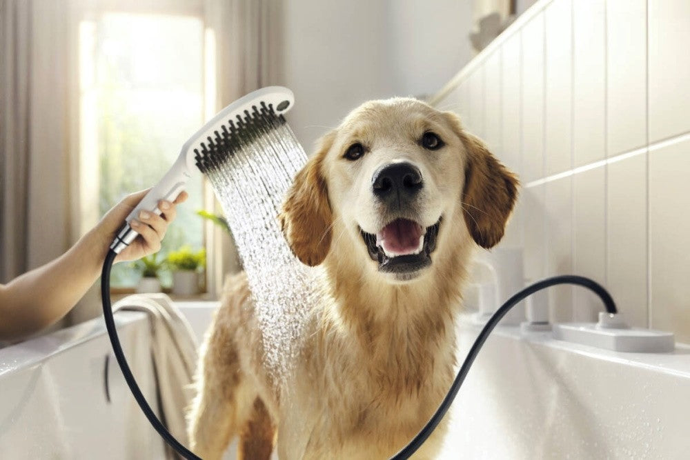 Para dus Hansgrohe DogShower pentru caini, alb mat
