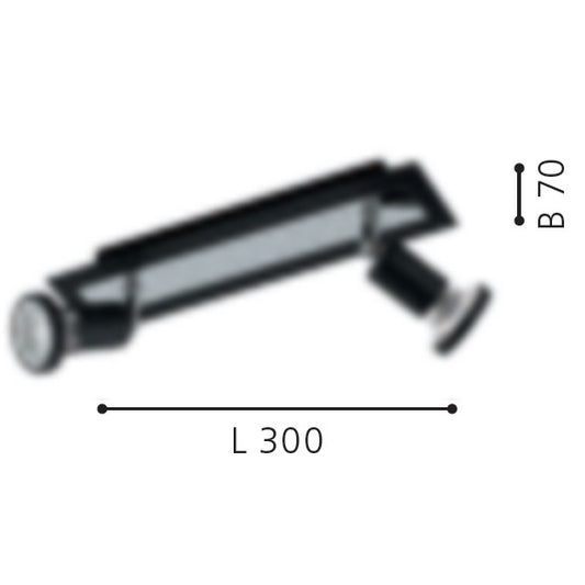 Eglo Sarria Plafoniera cu spot 2x5W, negru