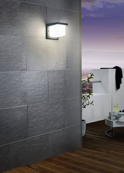 Eglo Desella 1 Aplica LED 1x10W, antracit