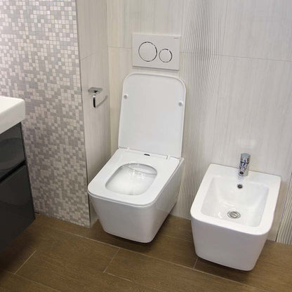 Set Promo Vas WC suspendat cu rezervor incastrat, clapeta de actionare alba, capac soft close, Geberit Delta si Fluminia Paris 37x53 cm