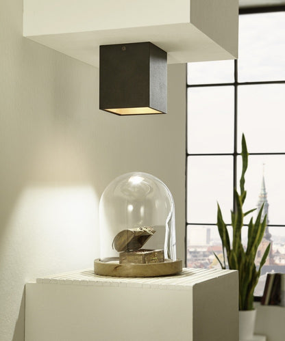 Eglo Polasso Plafoniera 1x3.3W, negru