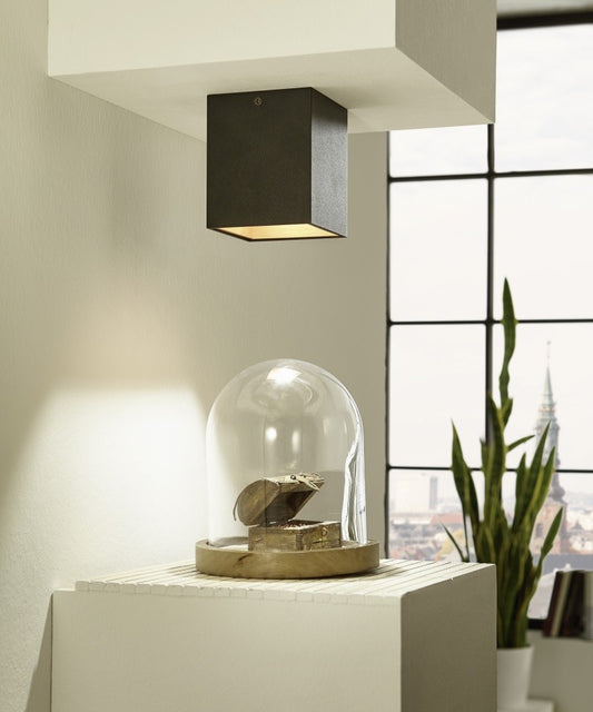 Eglo Polasso Plafoniera 1x3.3W, negru